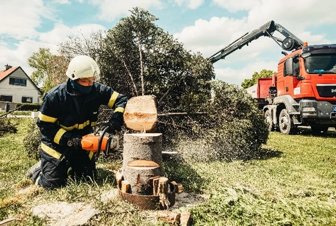 Tree worker image